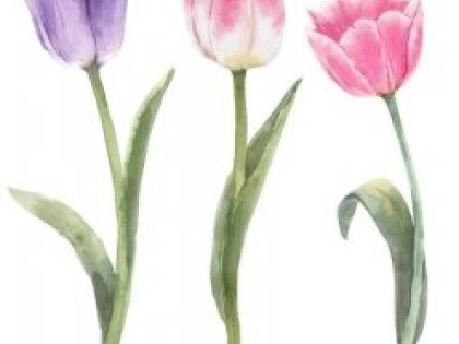 Ilustrační obrázek do seznamu nebo pro pouták