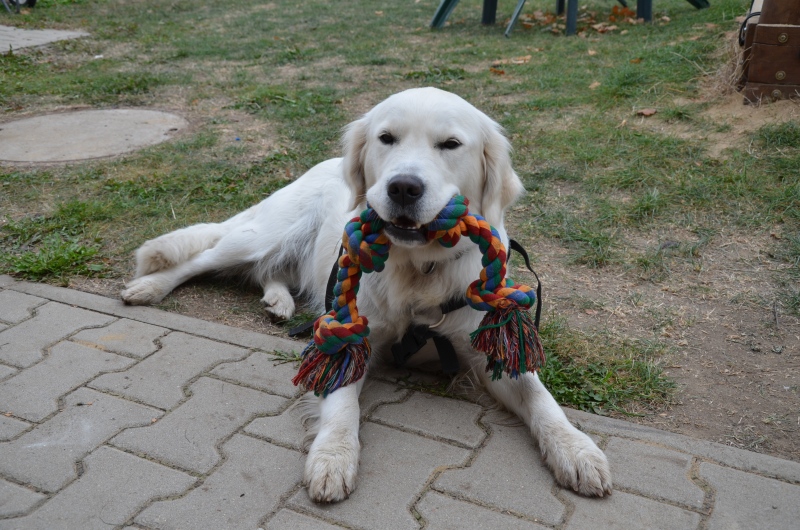 Ilustrační obrázek do seznamu nebo pro pouták