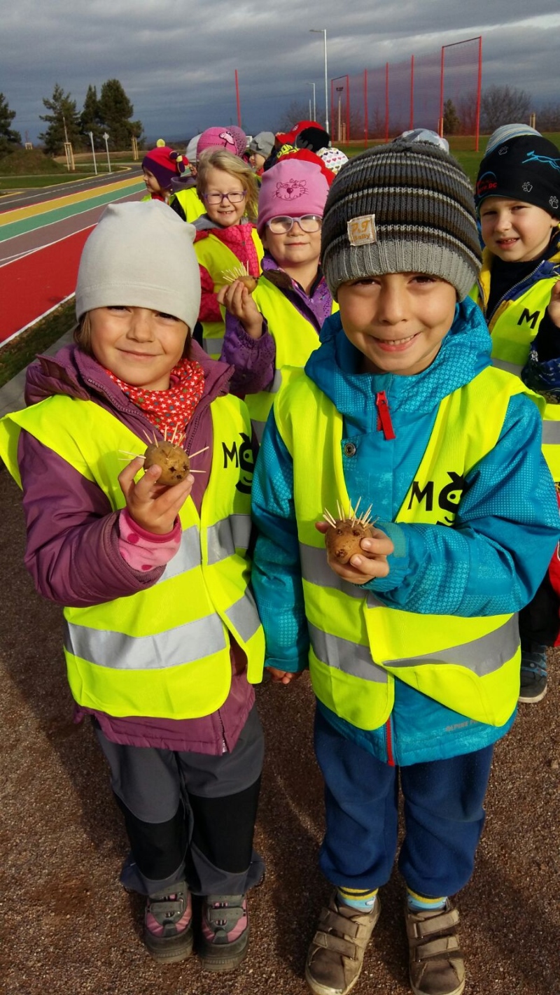 Ilustrační obrázek do seznamu nebo pro pouták