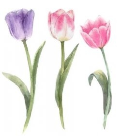 Ilustrační obrázek do seznamu nebo pro pouták